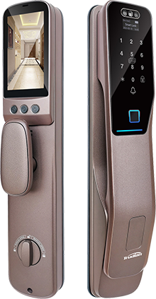 TD-H1-B face and palm vein smart lock