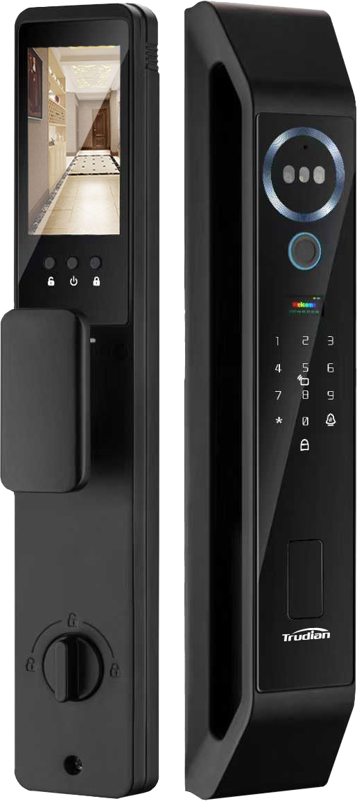 TD-S2-B face and palm vein smart lock
