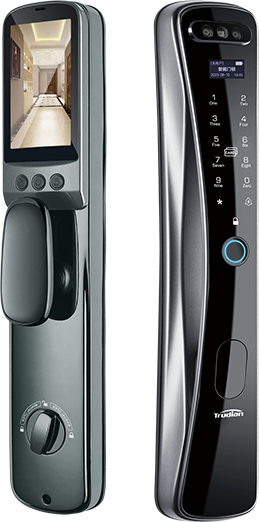TD-W2-B face and palm vein smart lock
